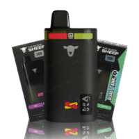 THE BLACK SHEEP 30.000