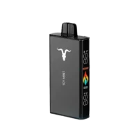 Ignite V250 Icy Minti.webp_resultado